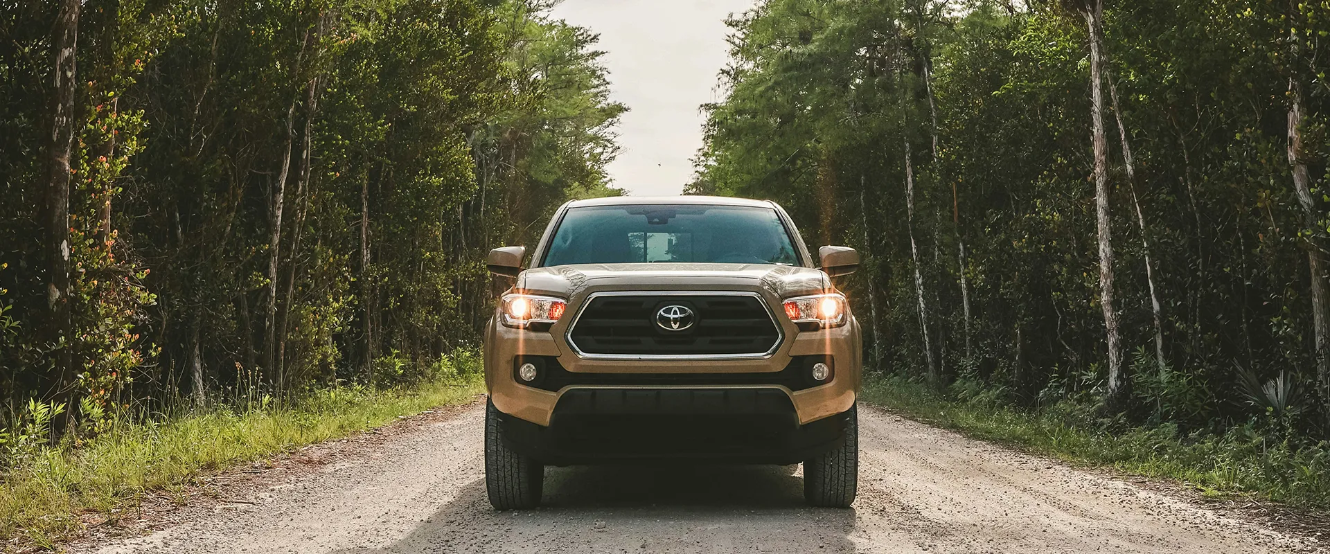 Toyota Repair and Service near Houston, TX